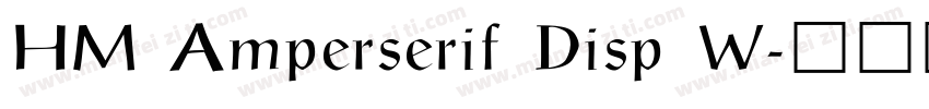 HM Amperserif Disp W字体转换